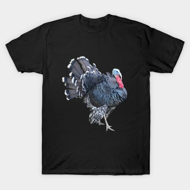 Retro Vintage Turkey Jive Gurkey Thanksgiving T-Shirt by BurunduXX-Factory